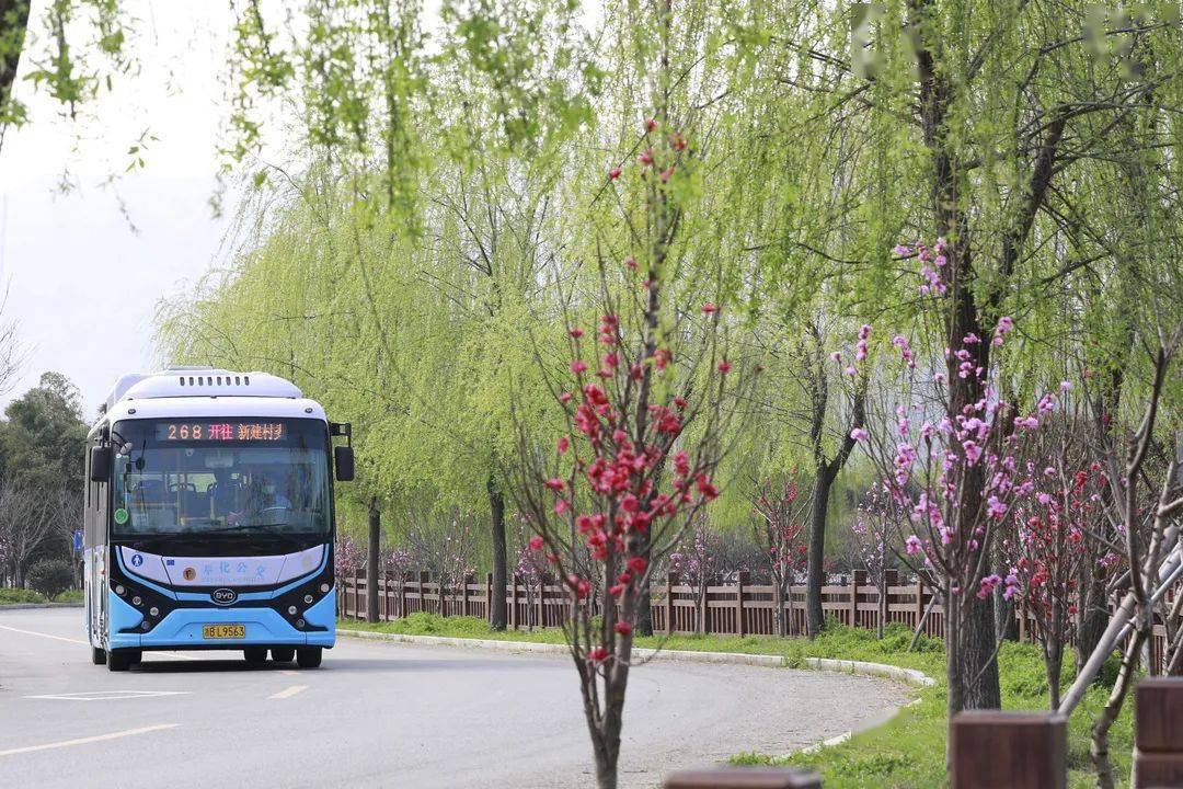 公交车上座率越来越低，城市通勤的微妙变化与思考