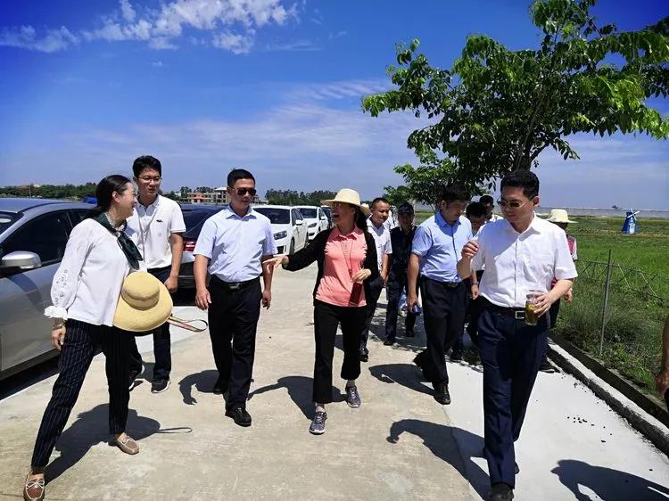 看绿色农业链如何变废为宝