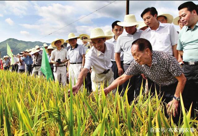 男子诋毁袁隆平科研成果被刑拘，一堂生动的公民责任课