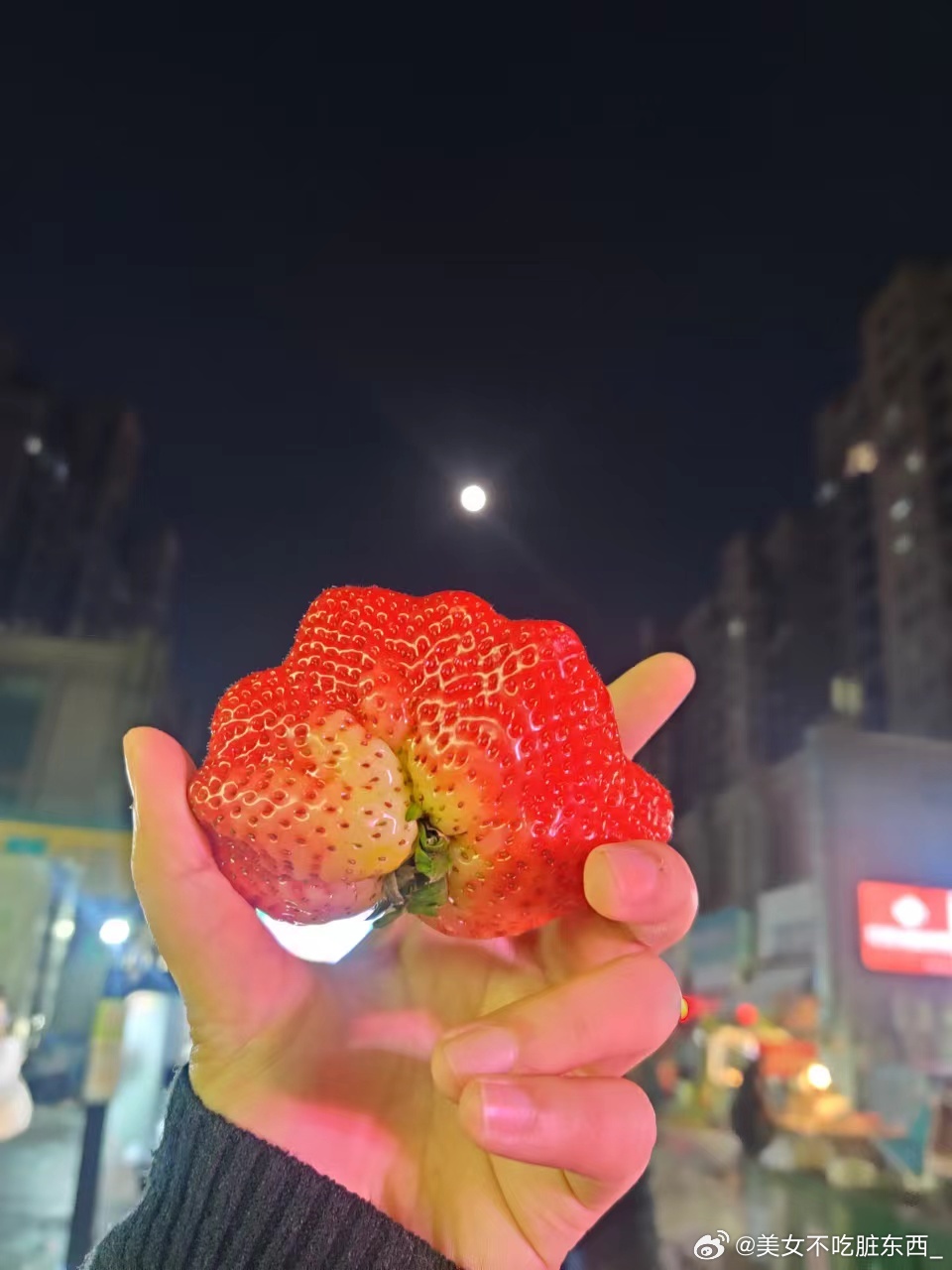 草莓月亮下的浪漫邂逅