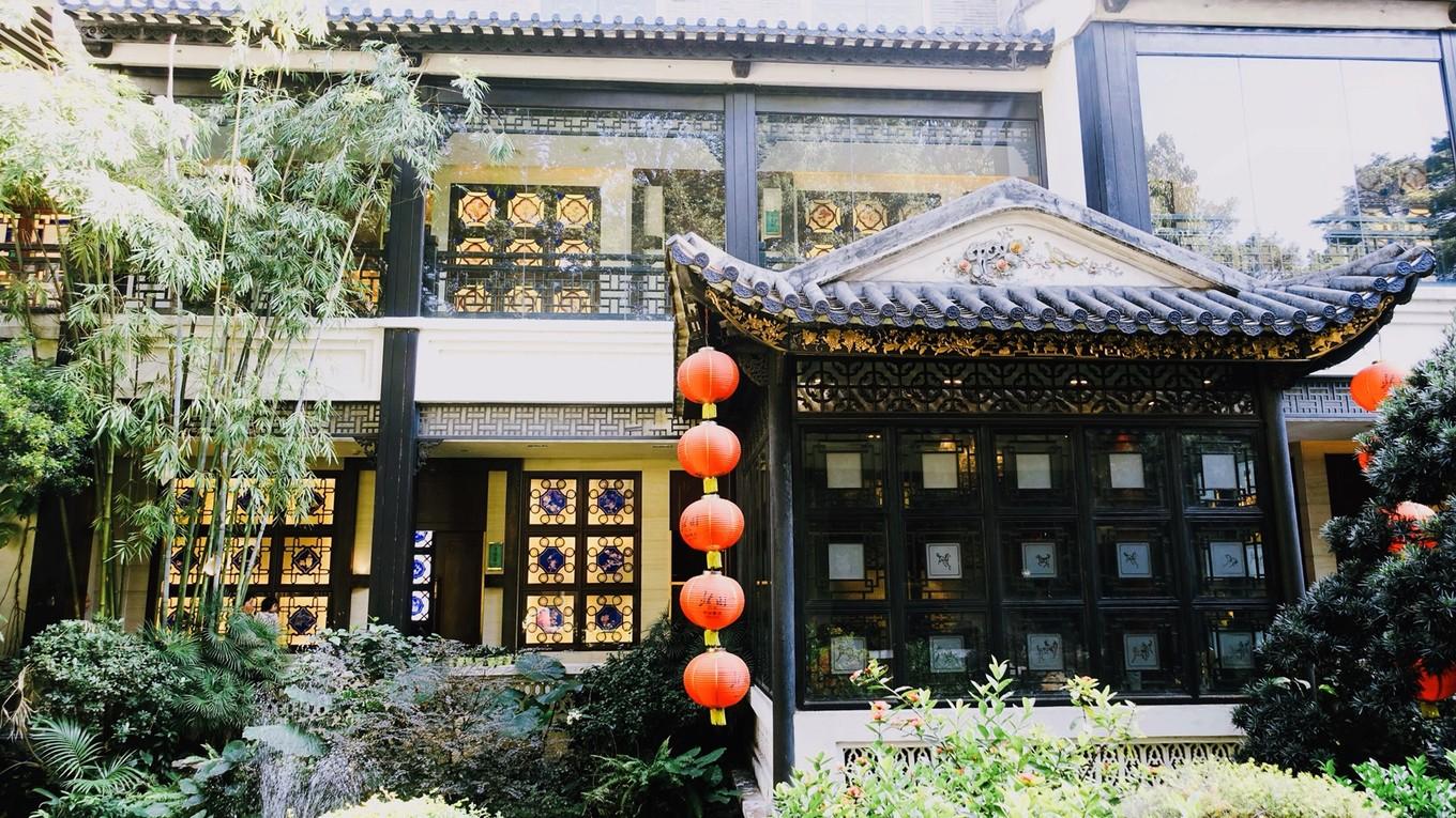 一个月未投喂，七八斤锦鲤仅剩骨架的惊心经历